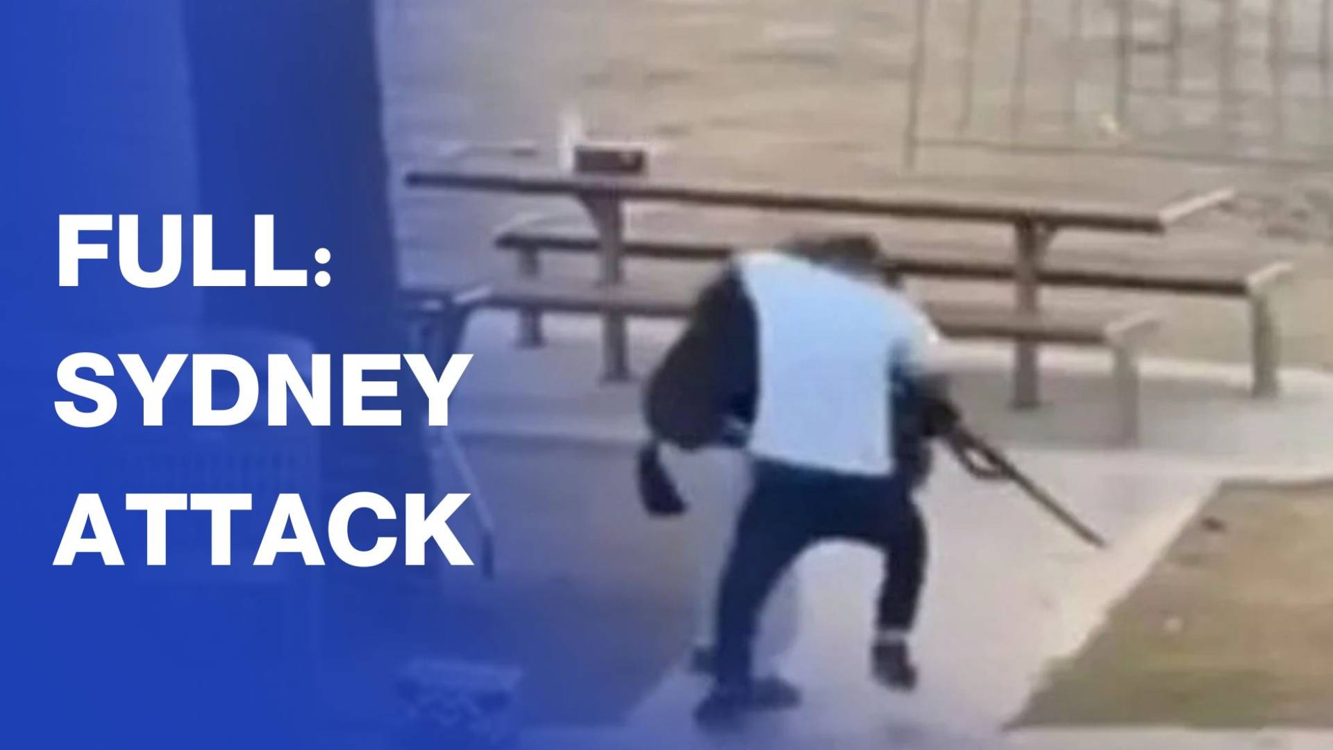 Gunmen kill 16 at Jewish festival on Australia's Bondi Beach