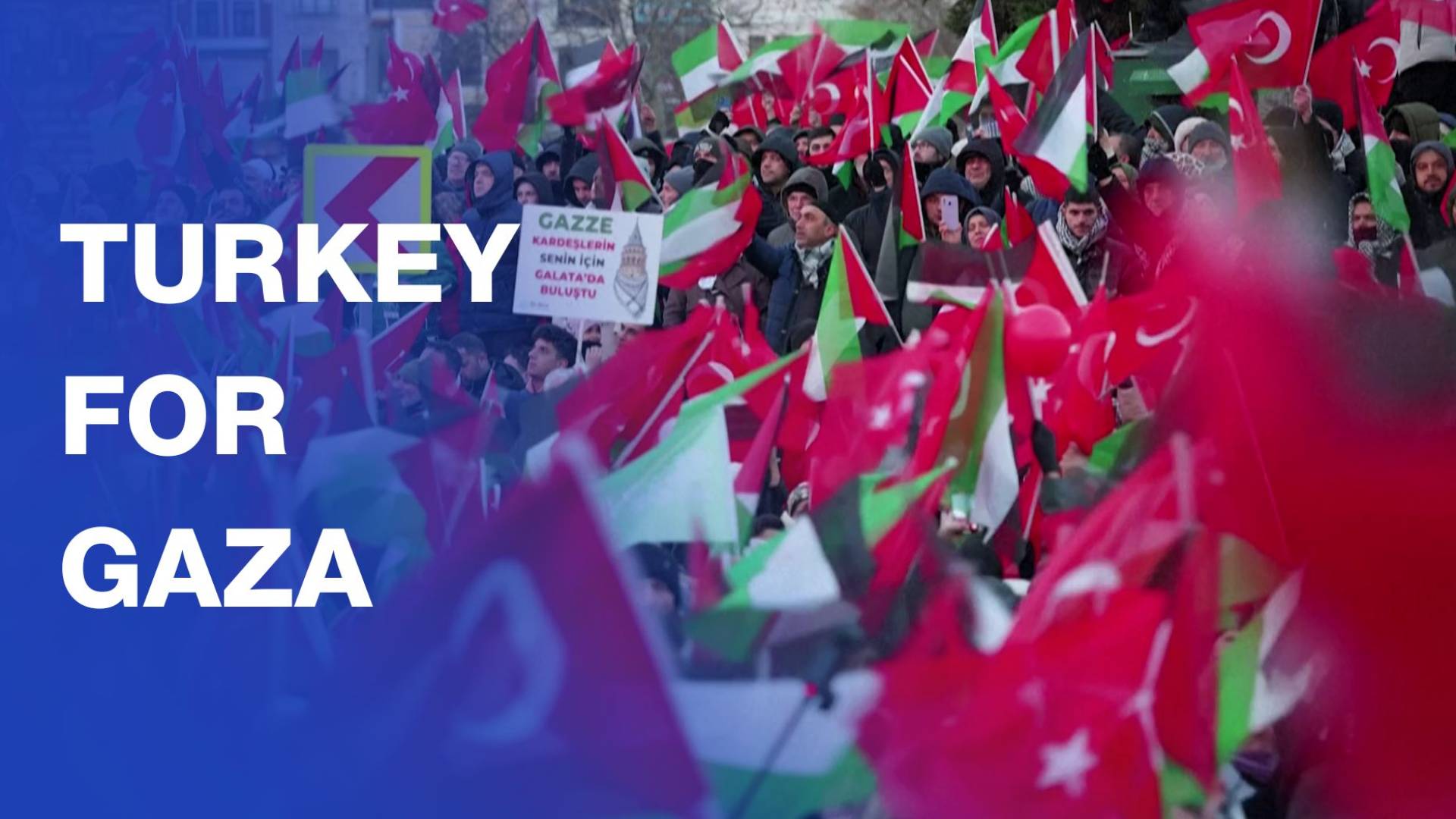 Thousands stage pro-Gaza rally in Istanbul on New Year's Day