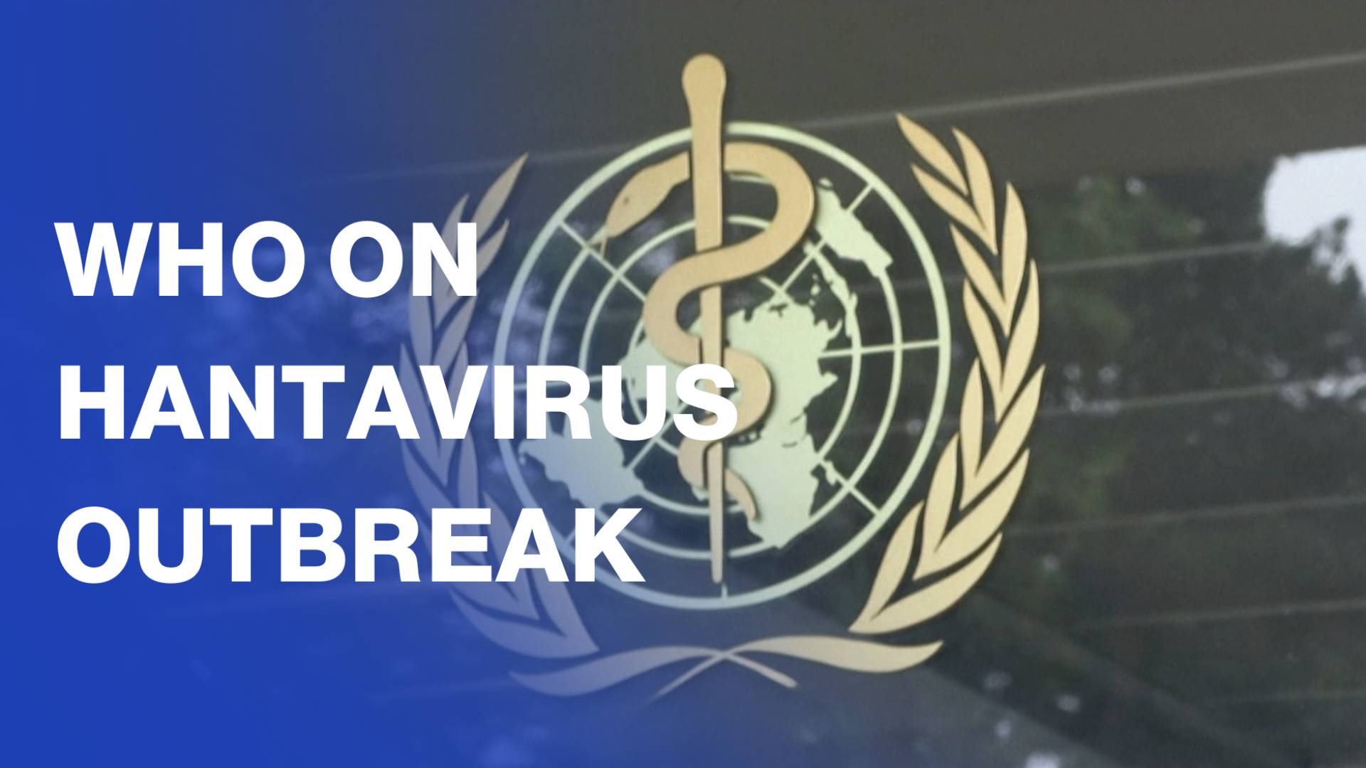 WHO says Hantavirus outbreak will be limited