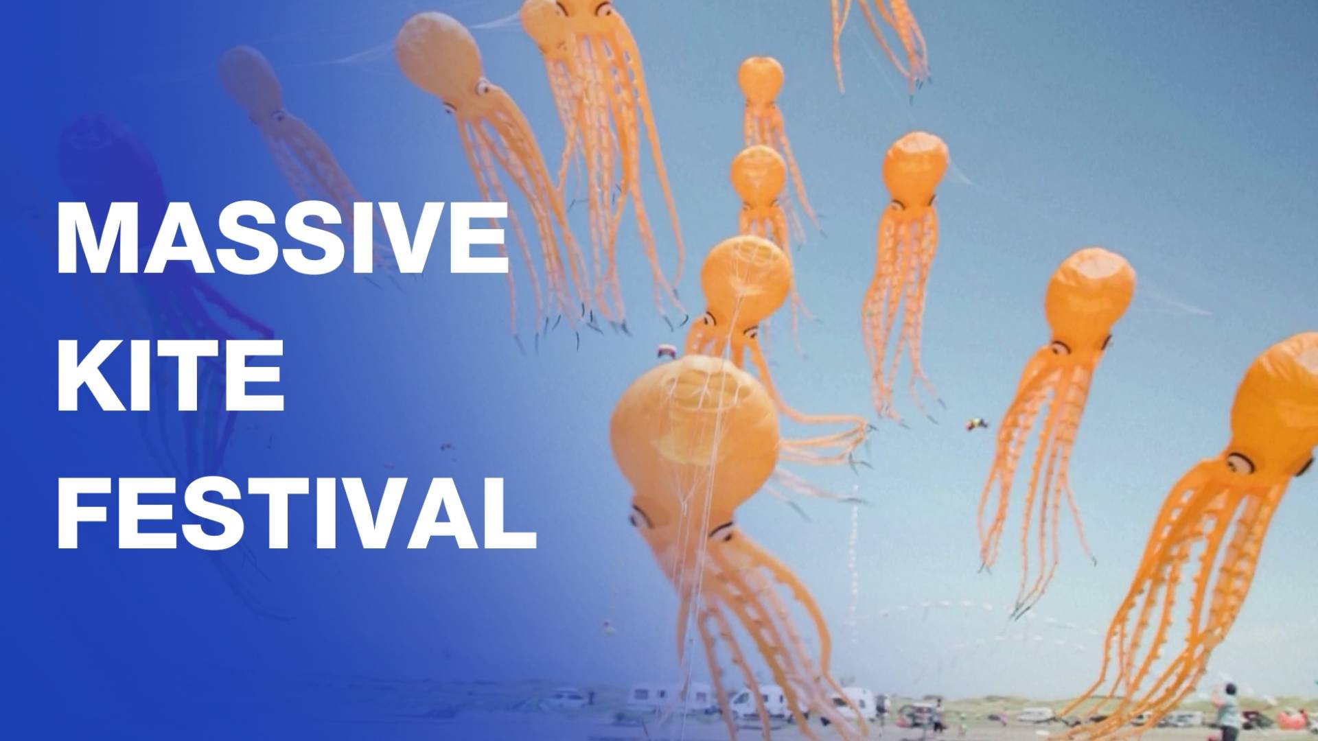 One of the world's largest kite festivals on North Sea coast