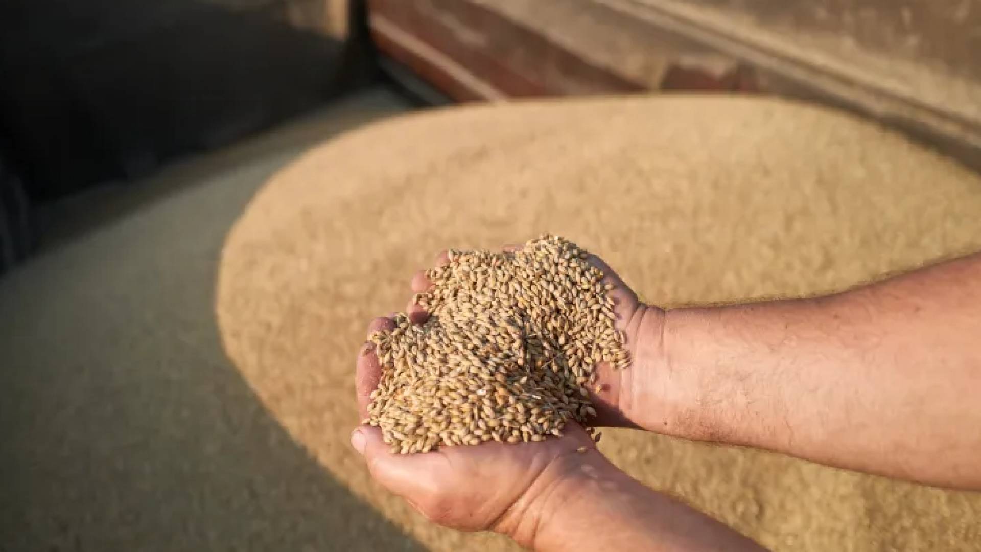 أزمة "الحبوب المسروقة".. أوكرانيا تستدعي سفير الاحتلال وساعر يرد: العلاقات لا تدار عبر "إكس"