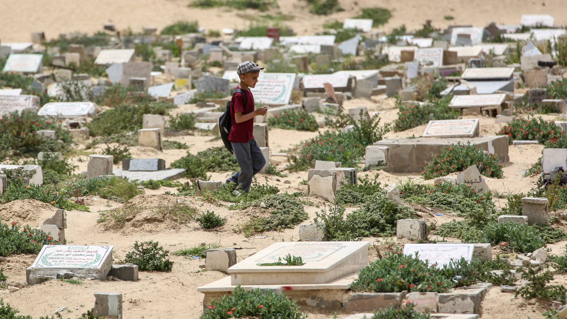 من "كفن الموت" إلى مشافي الأردن.. قصة الطفلة الغزية "دعاء" التي عادت إلى الحياة بمعجزة.. فيديو