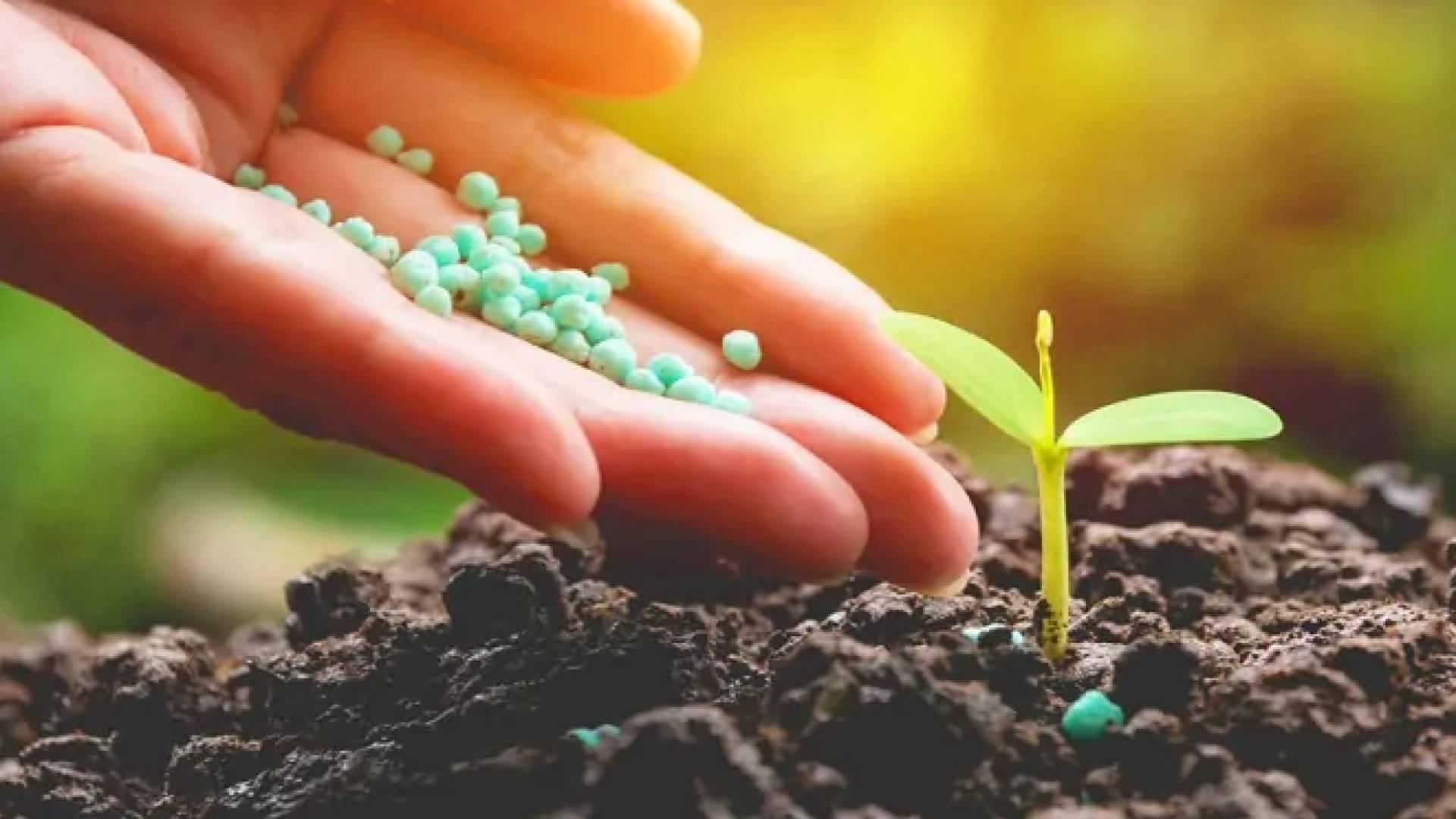 الخرابشة: الشركة المطورة لمشروع الأمونيا الخضراء أنفقت 10 ملايين من أصل 30 مليونا قبل توقيع الاتفاقية