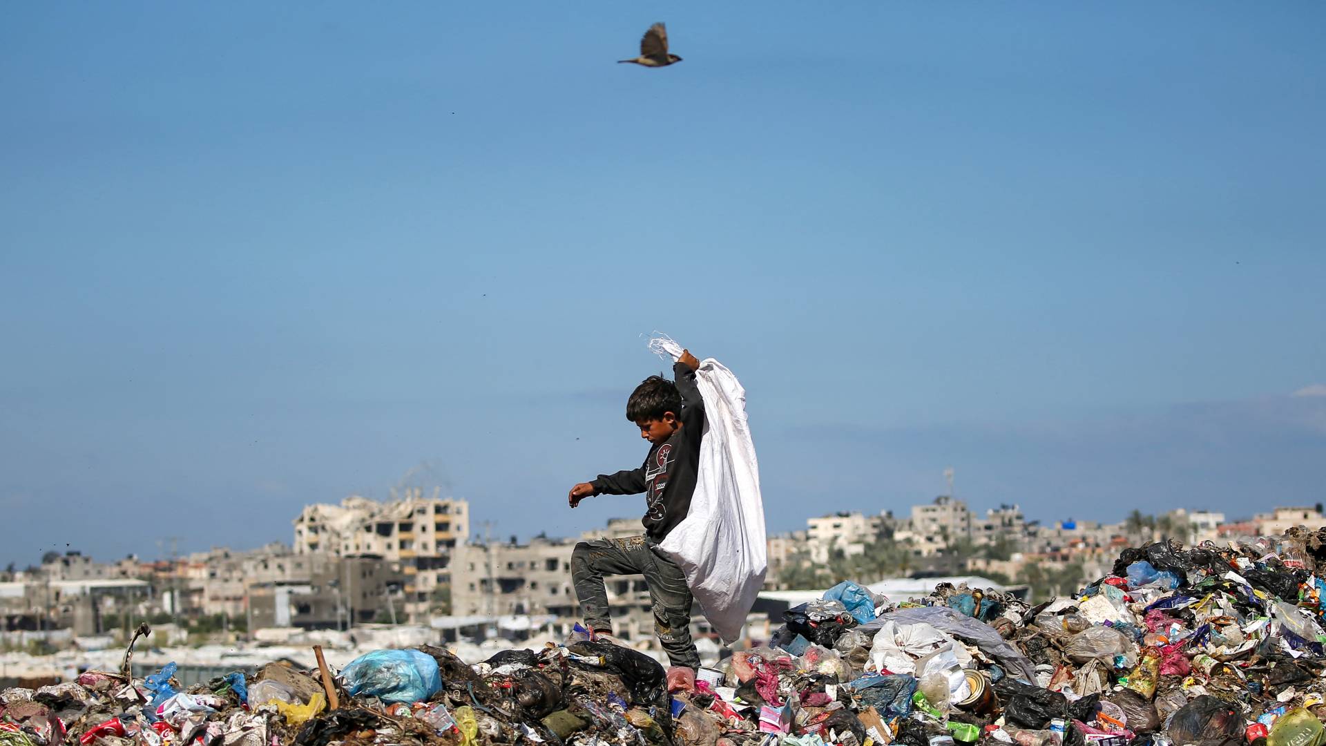 شاطئ غزة يتحول إلى ملاذ وحيد للأطفال هربا من حر الخيام وأجواء الحرب