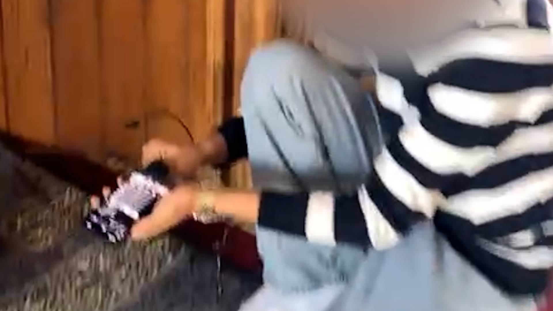 بالفيديو.. شبان ينتهكون حرمة مسجد في دوقرة إربد.." دخول بالأحذية و موسيقى وأغان"