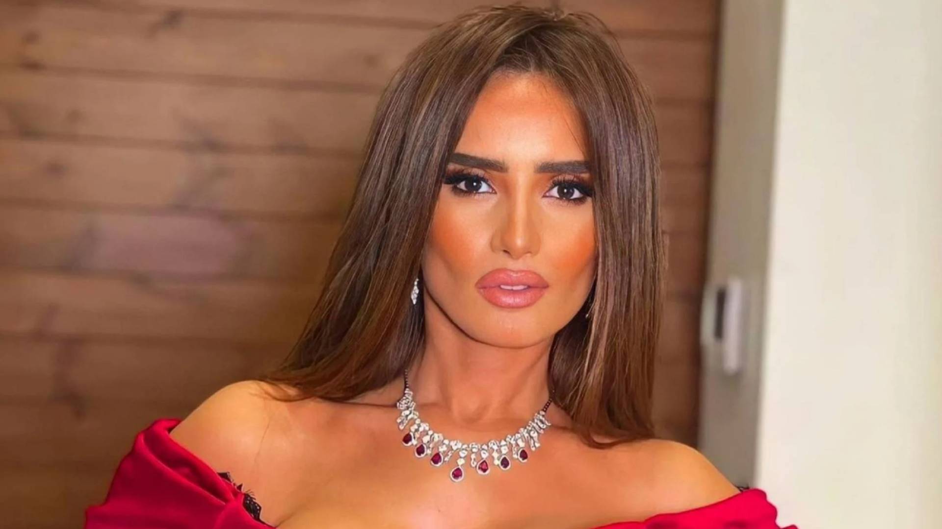 حسم قضية طفلي الفنانة زينة.. محكمة جنح أكتوبر تصدر حكمها اليوم في واقعة ترويع التوأم بكلب شرس