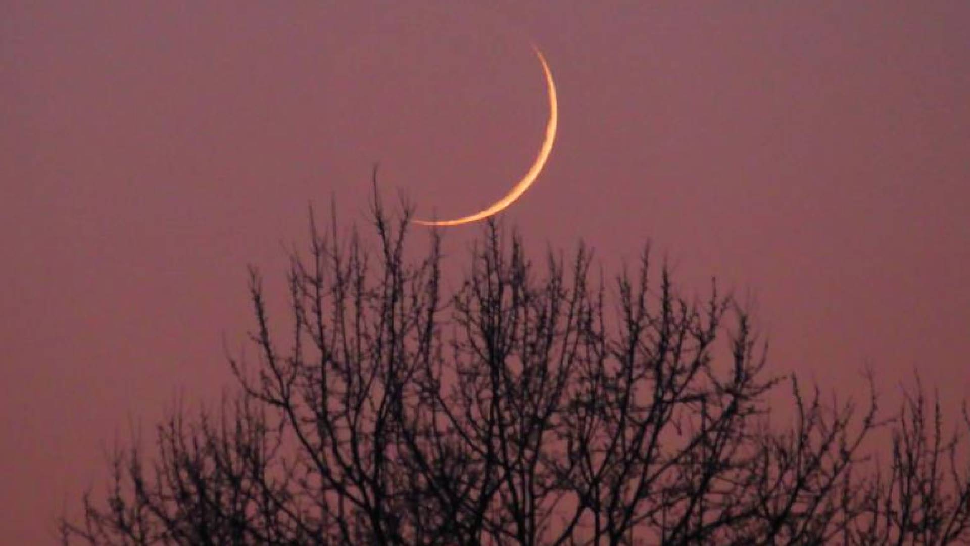 موعد وقفة عرفة وعيد الأضحى ..."الفلك الدولي" يرصد أول صورة لهلال شهر "ذو الحجة"