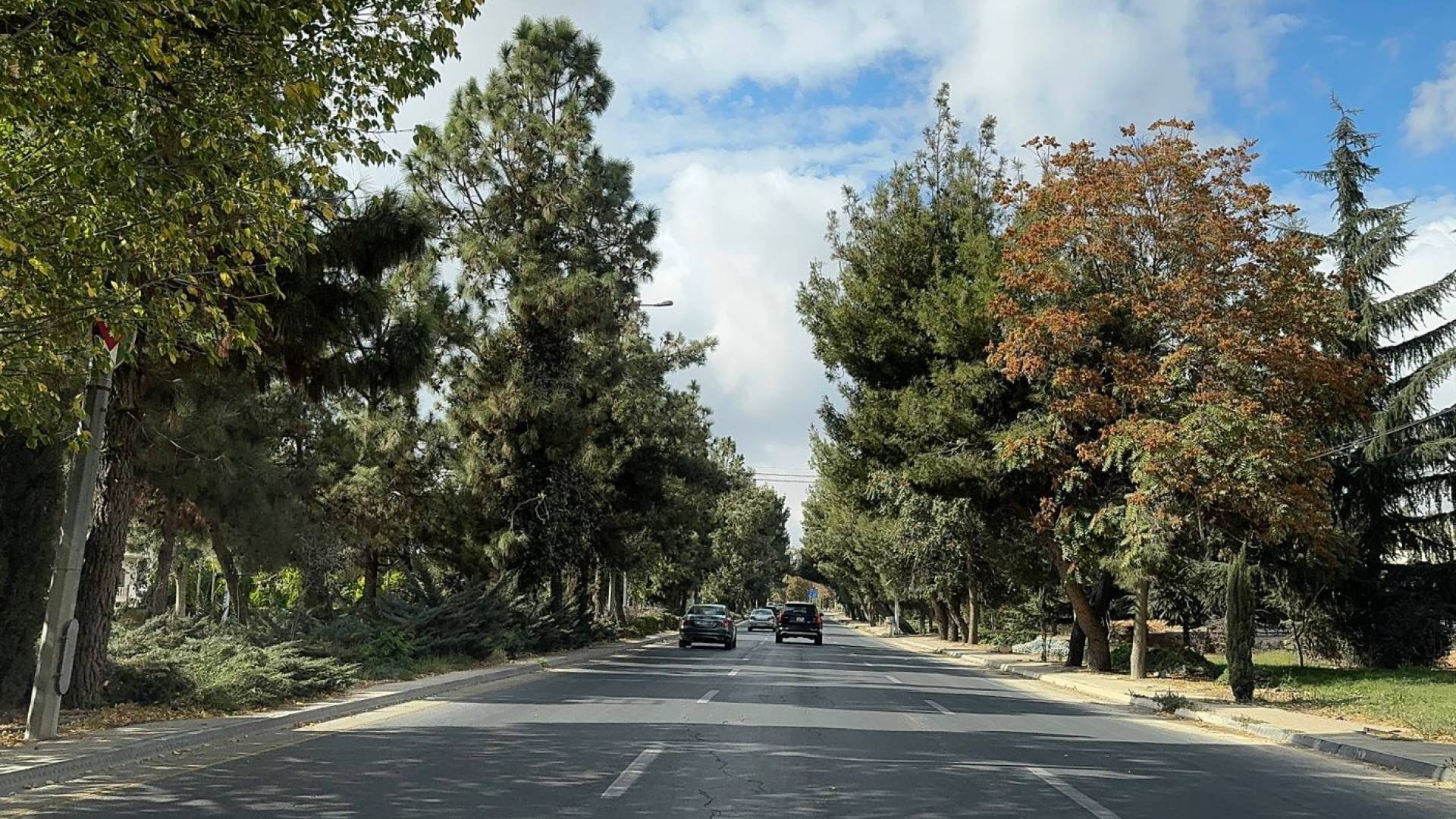 الأرصاد الجوية تعلن تفاصيل الحالة الجوية في الأردن للأيام الأربعة القادمة