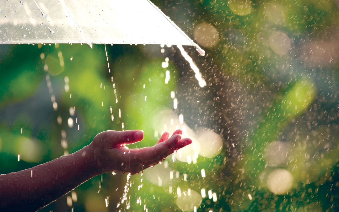 Roya News | Rainfall