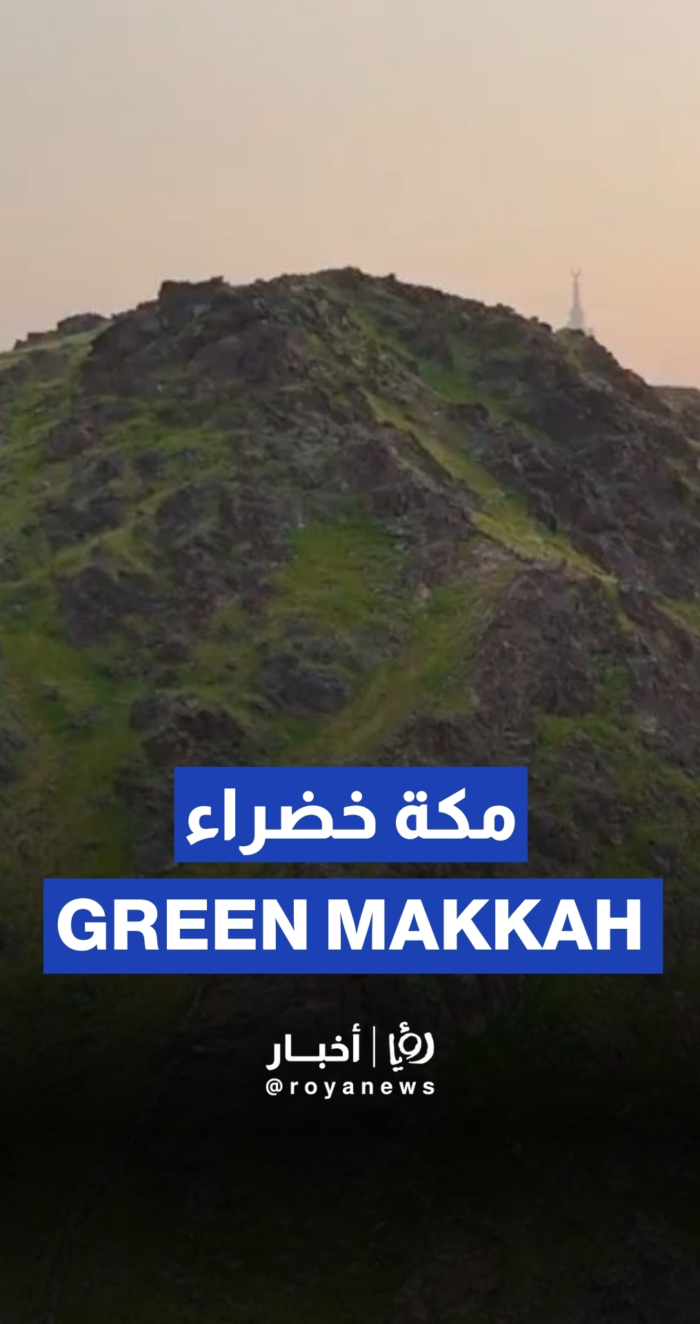 Makkah donned in green