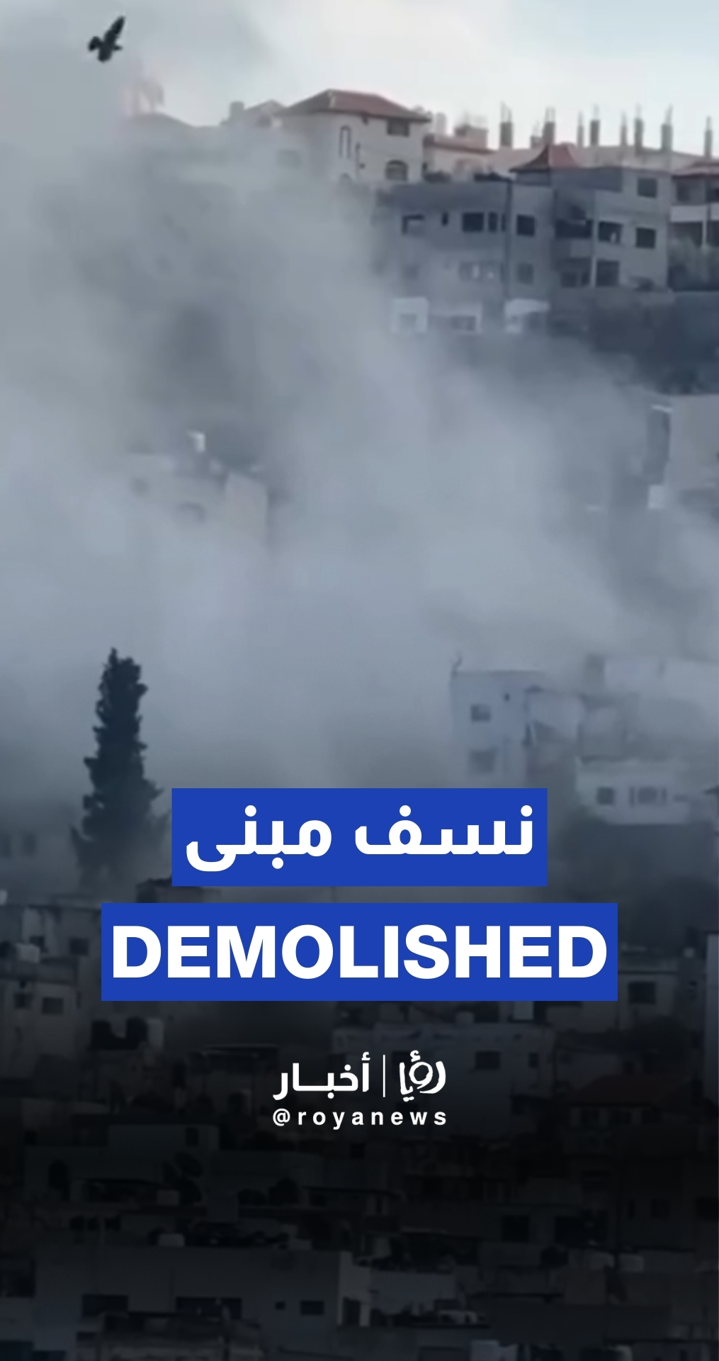 “Israeli” forces demolish building in Jenin