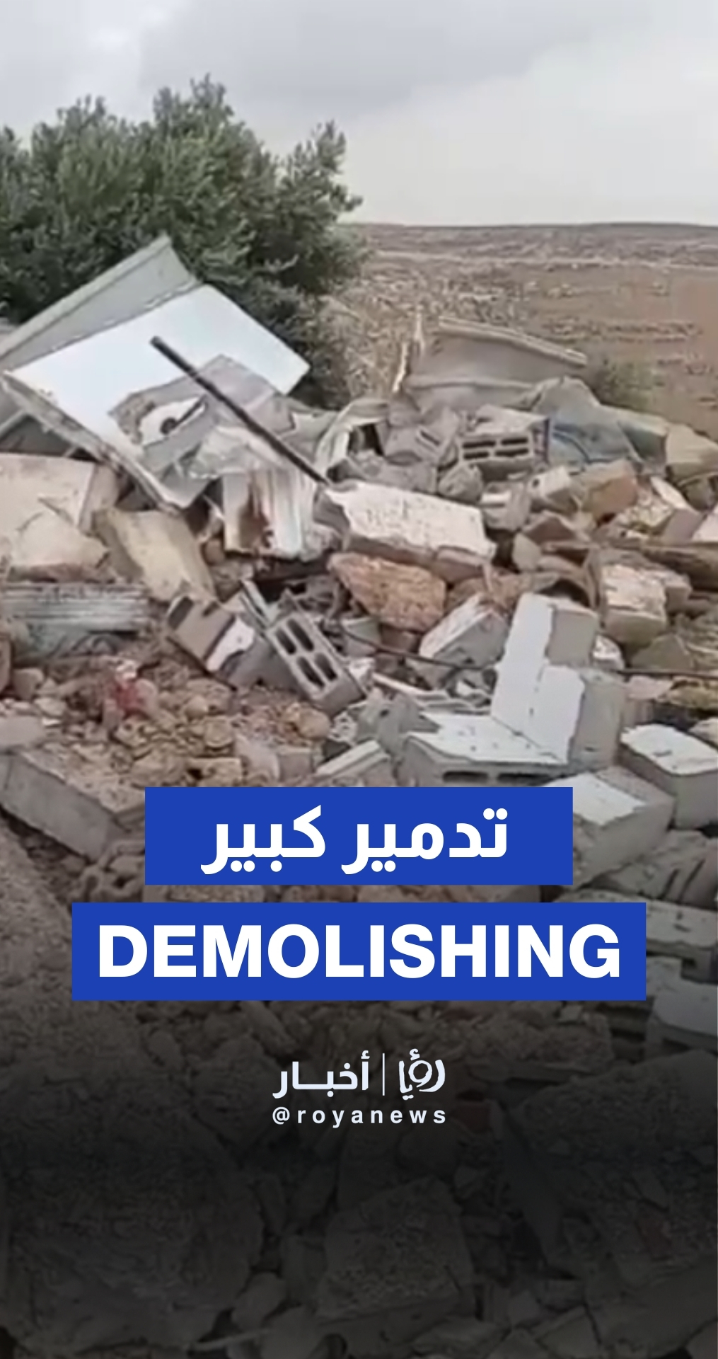 "Israel" demolishes five houses in Hebron