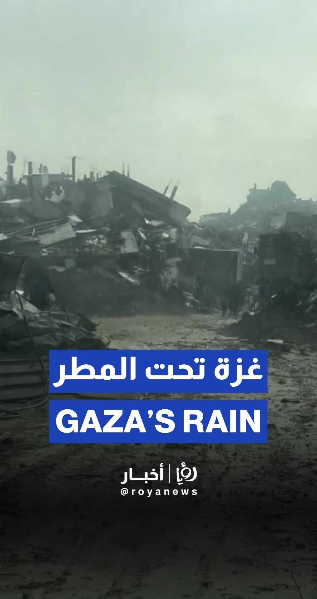 Rainfall in the Gaza Strip