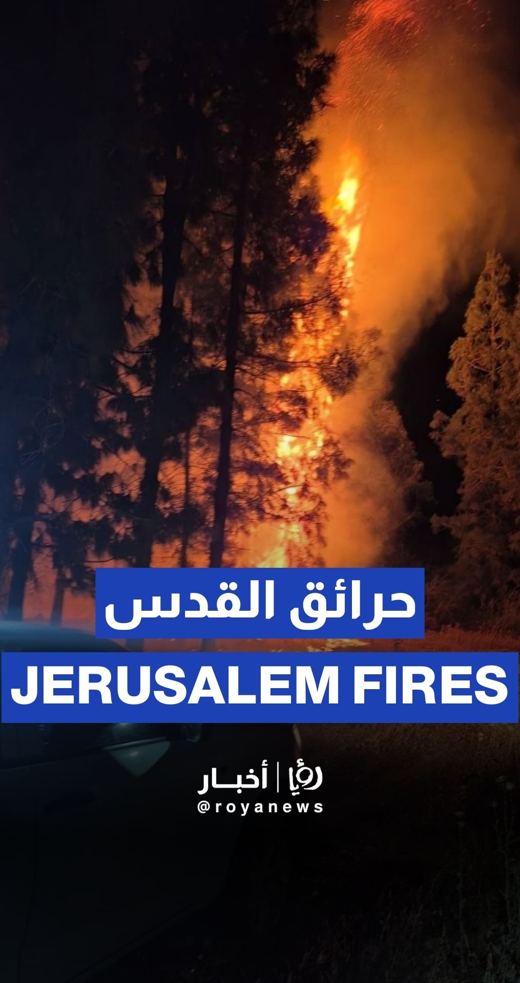 Massive wildfires ravage Jerusalem Hills