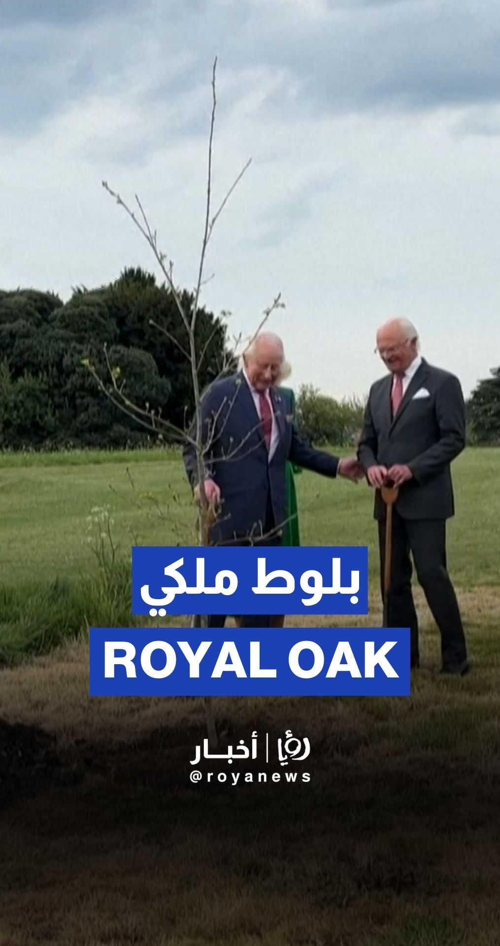 British and Swedish royals plant an oak tree at Windsor Castle