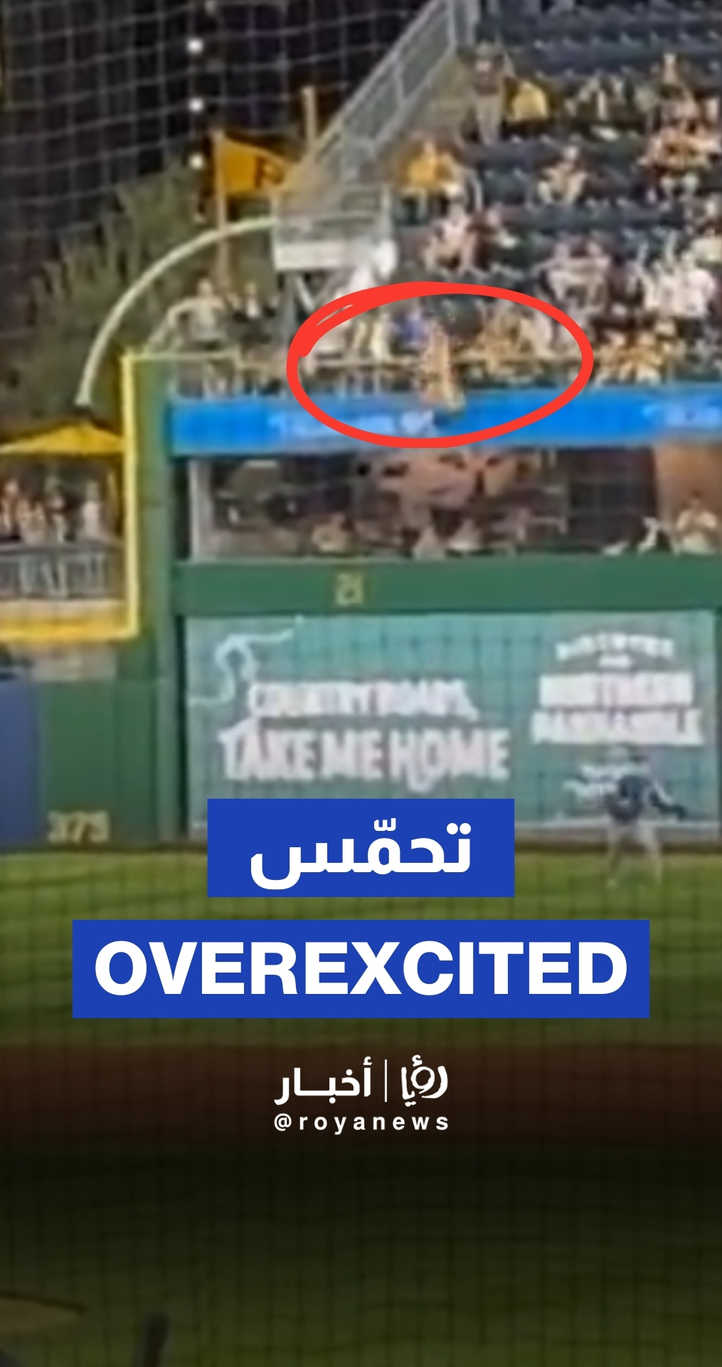 Fan falls during baseball game