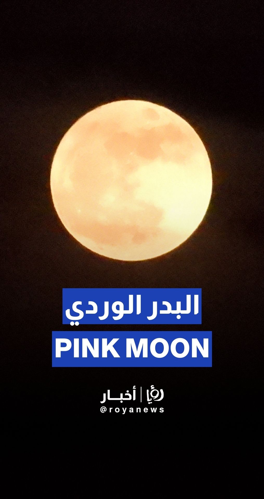 Pink moon captured through the clouds
