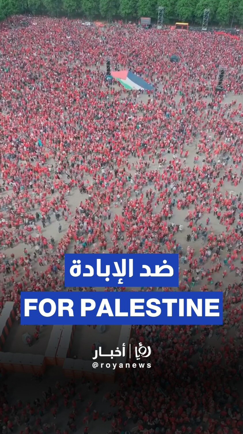 Over 100,000 rally in The Hague in support of Palestine