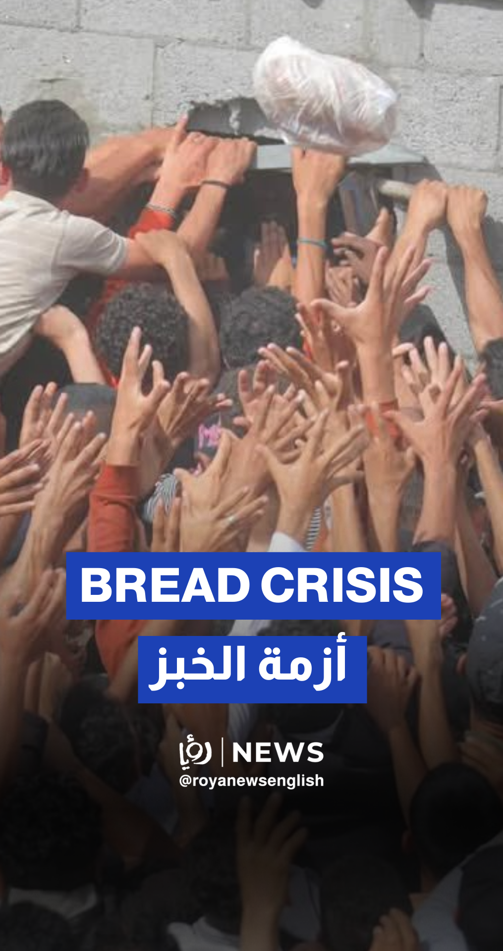Thousands queue for bread in Gaza as bakeries reopen after two-month halt