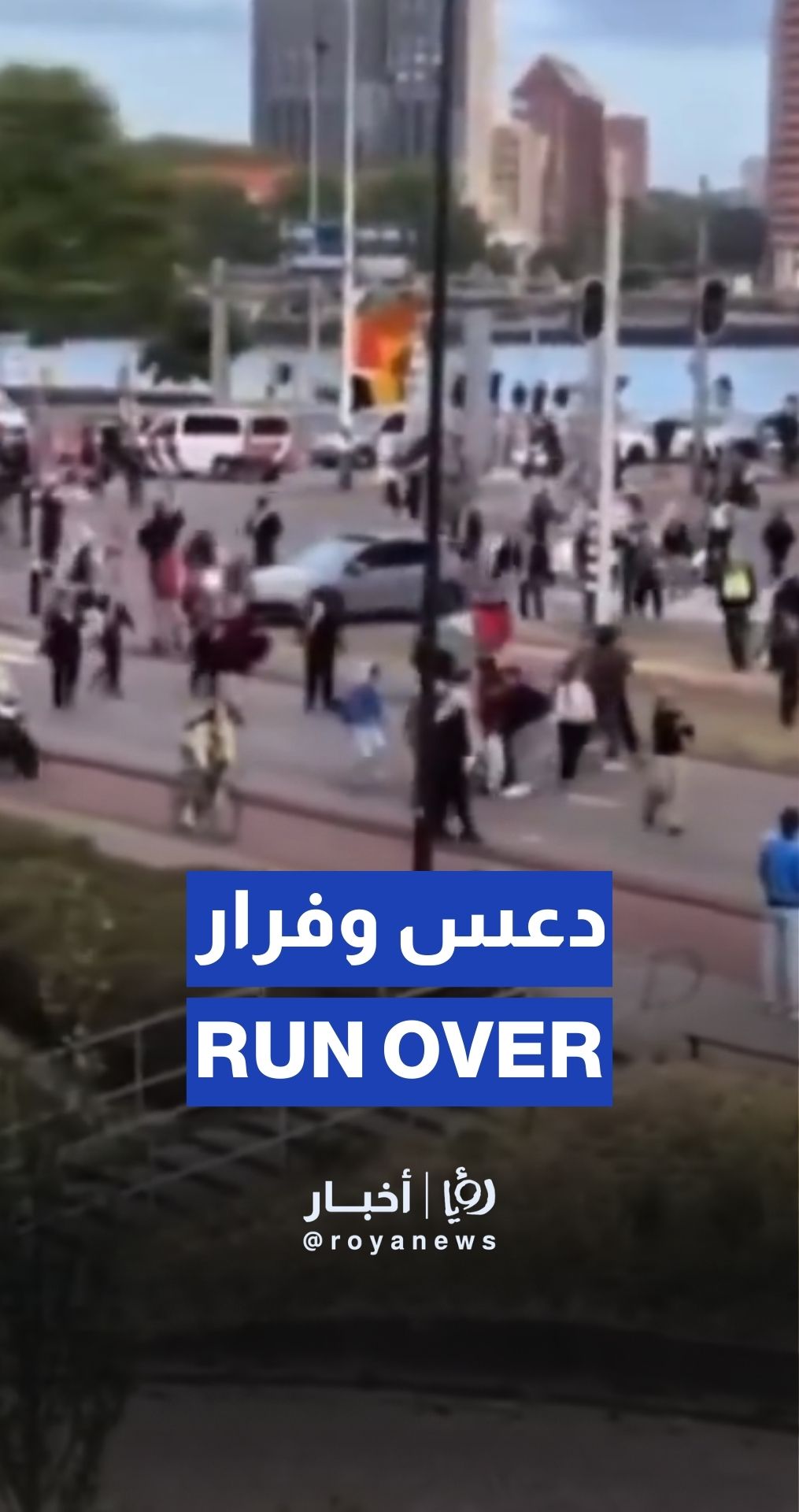 Pro-Palestine protester run over in Rotterdam, driver flees