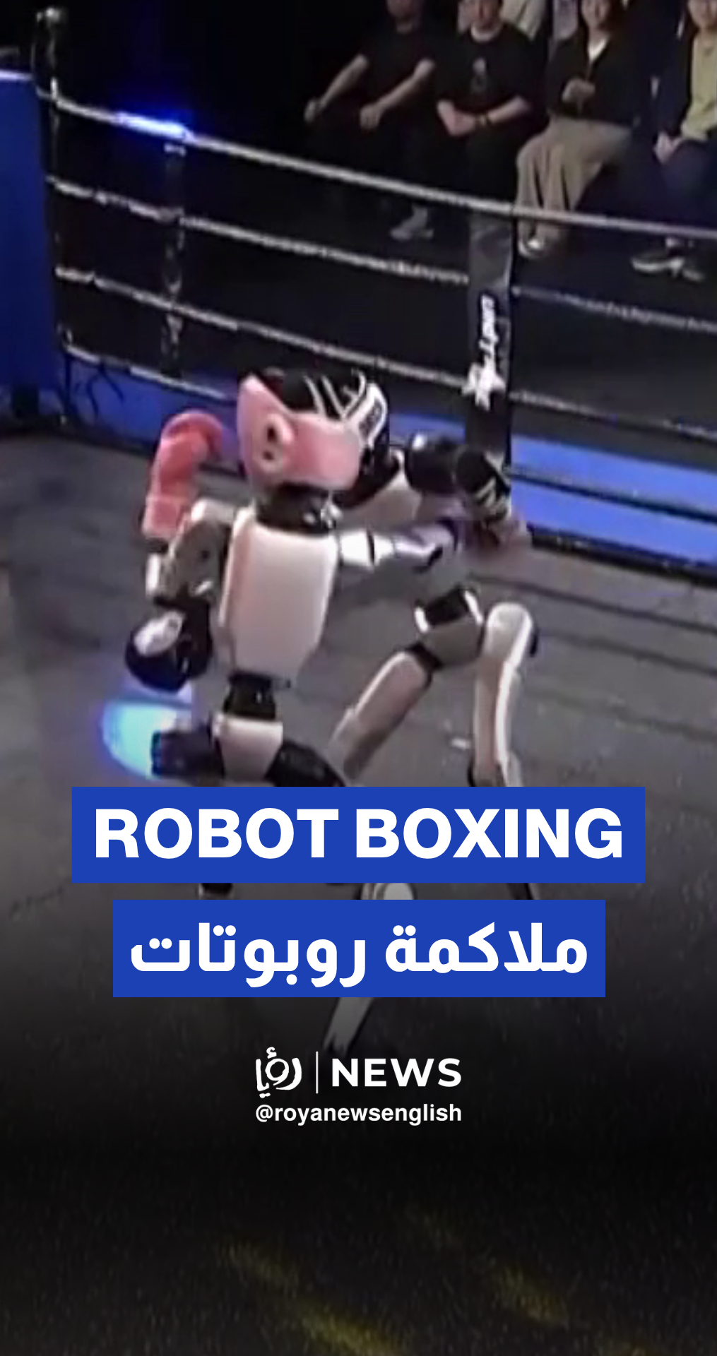 China hosts robot fighting competition