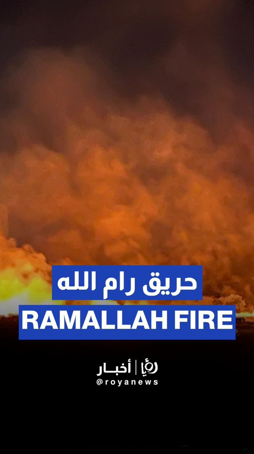 "Israeli" settlers torch Al-Mughayyir village in Ramallah, West Bank