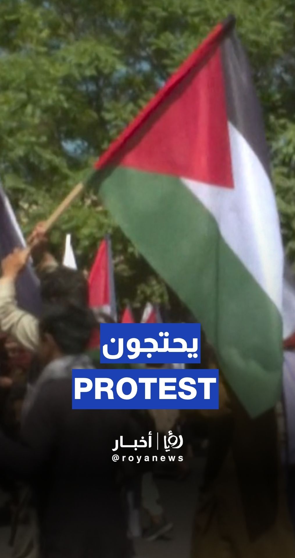 Thousands protest across Afghanistan in support of Gaza