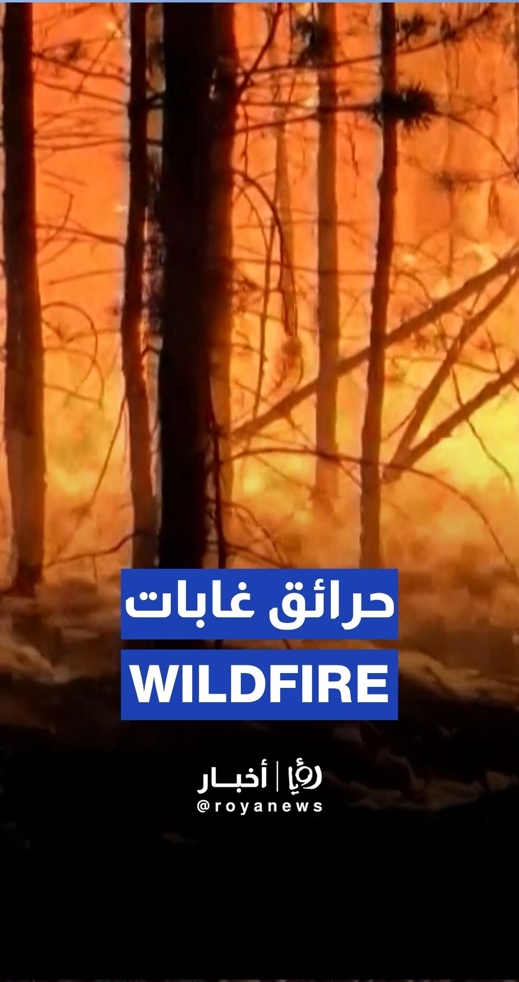 Russia urges Siberian authorities to speed up wildfire response