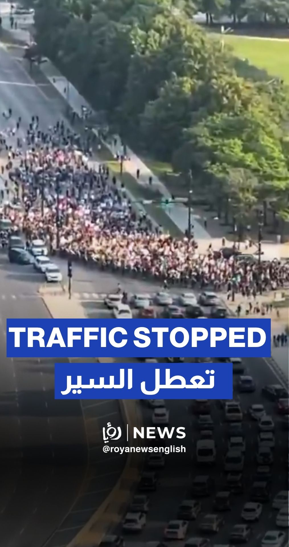Massive anti-ICE protests bring Chicago traffic to a standstill