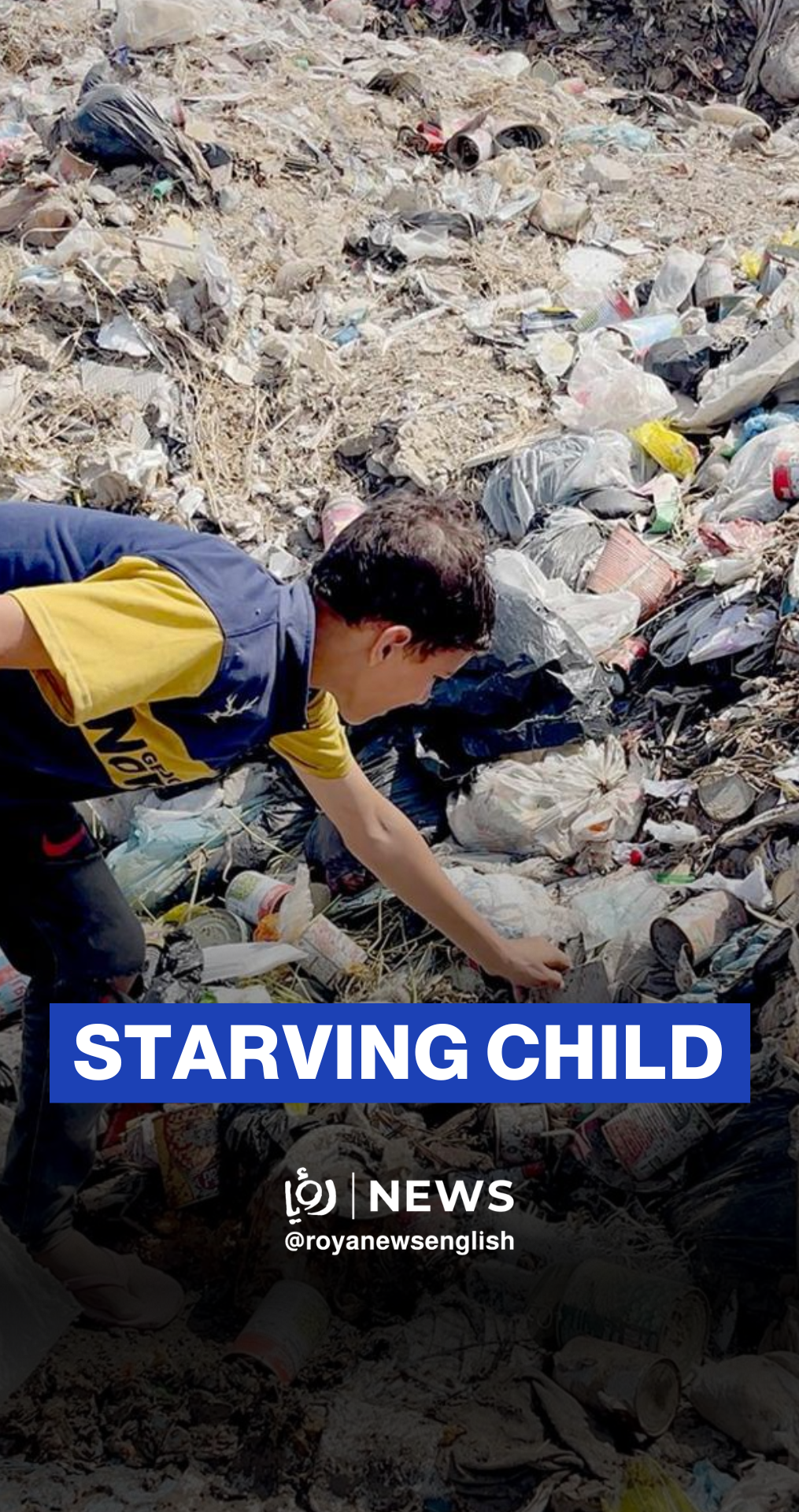 Child in Gaza seen scraping meat off rotting animal hide from trash bin