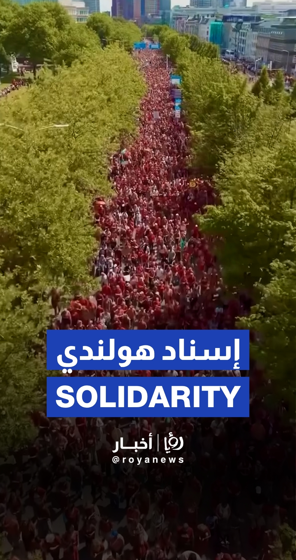 Massive pro-Palestine protest in the Netherlands