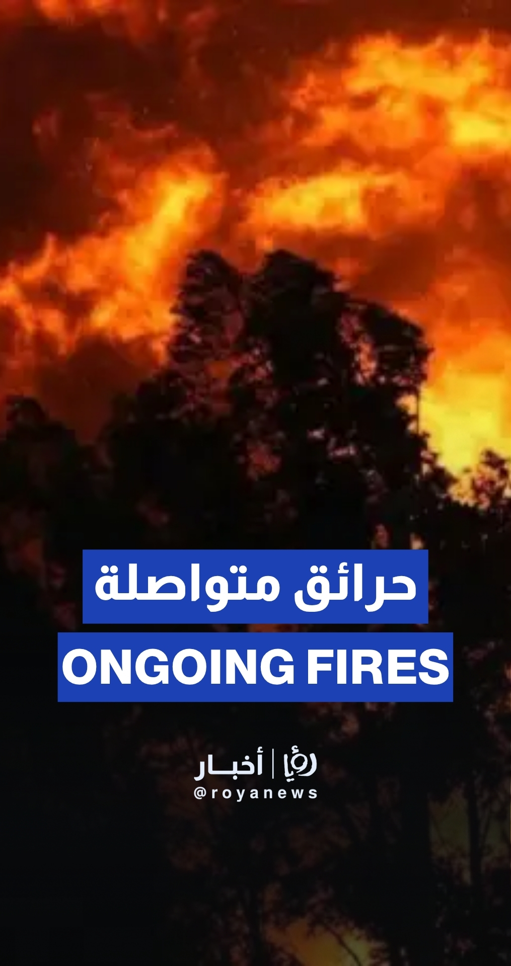 Wildfires continue to rage in Turkey’s Izmir