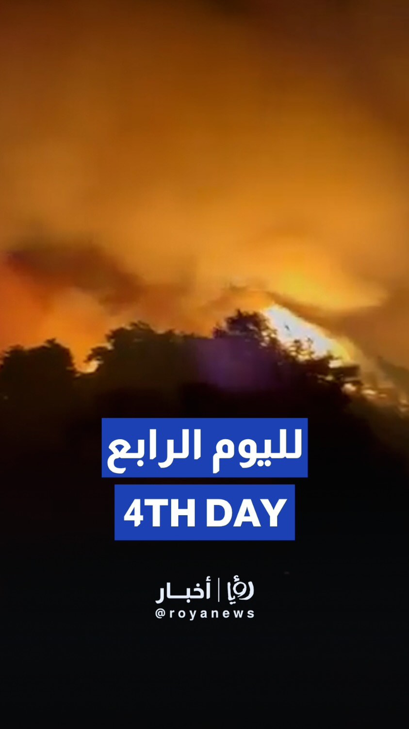 Turkey's Izmir wildfires rage for fourth straight day
