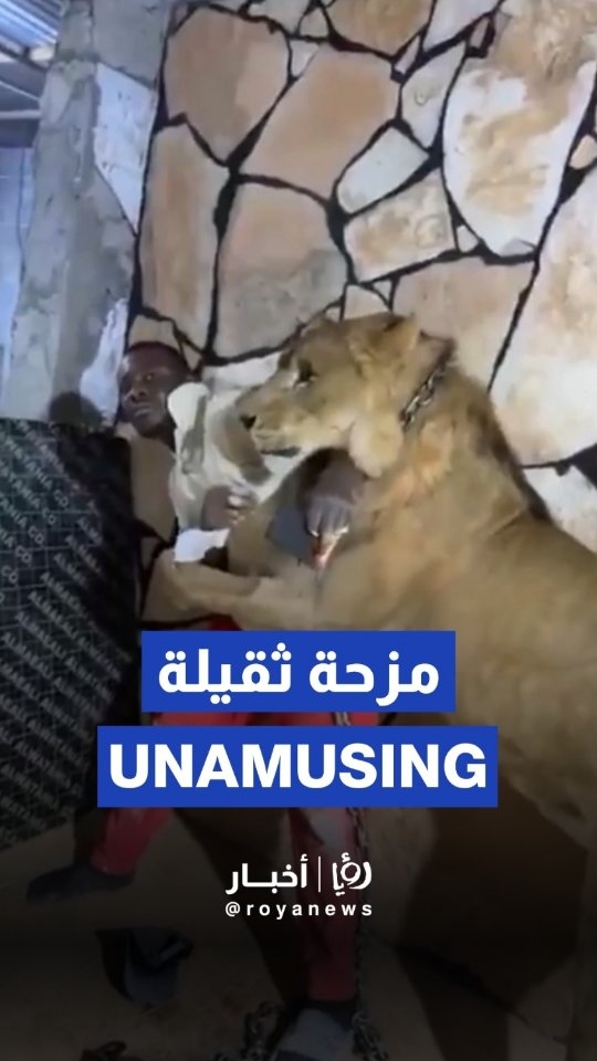 Libyan man uses lion as prank against employees