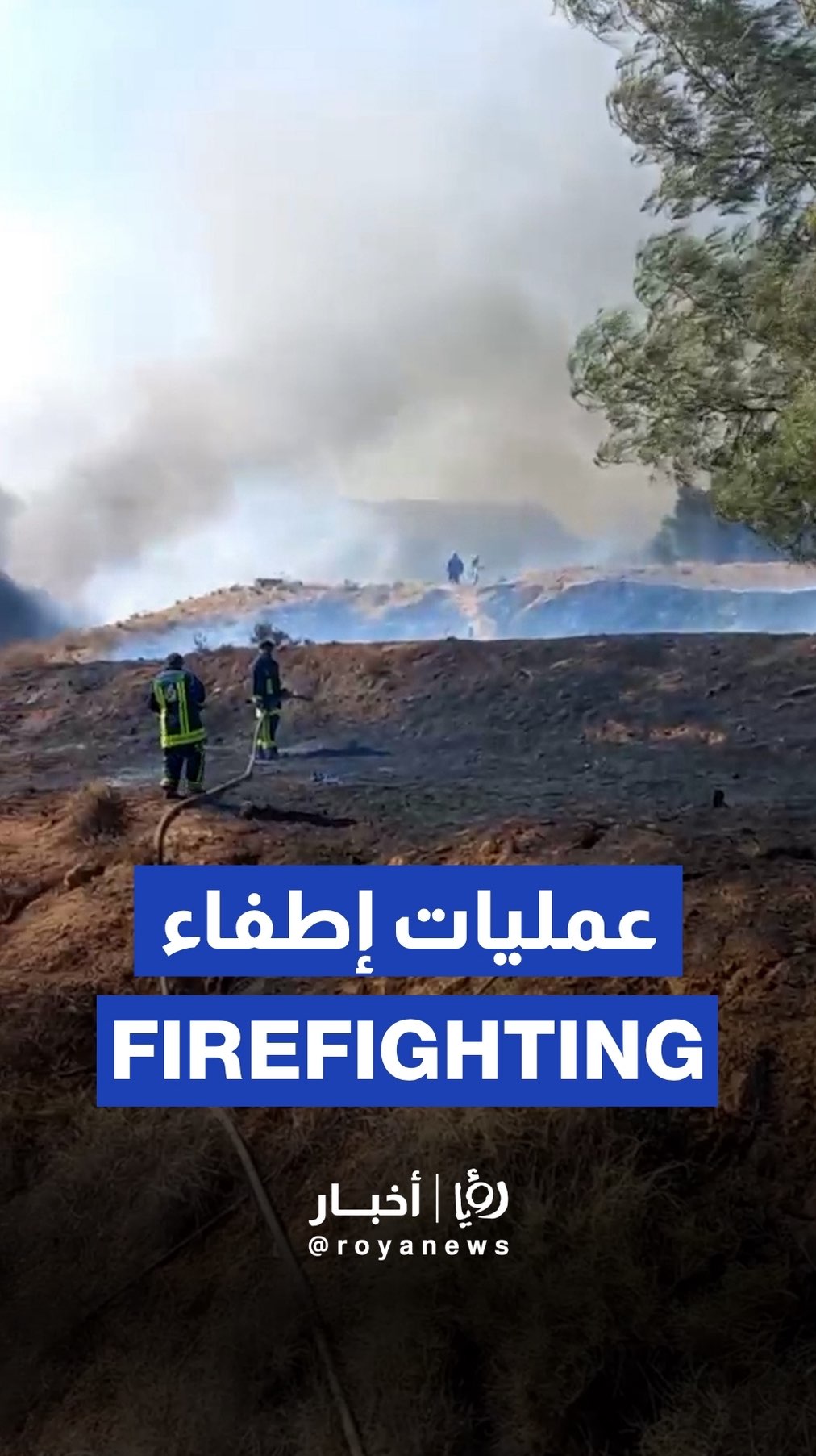 Syrian civil defense responds to wildfire near Presidential Palace