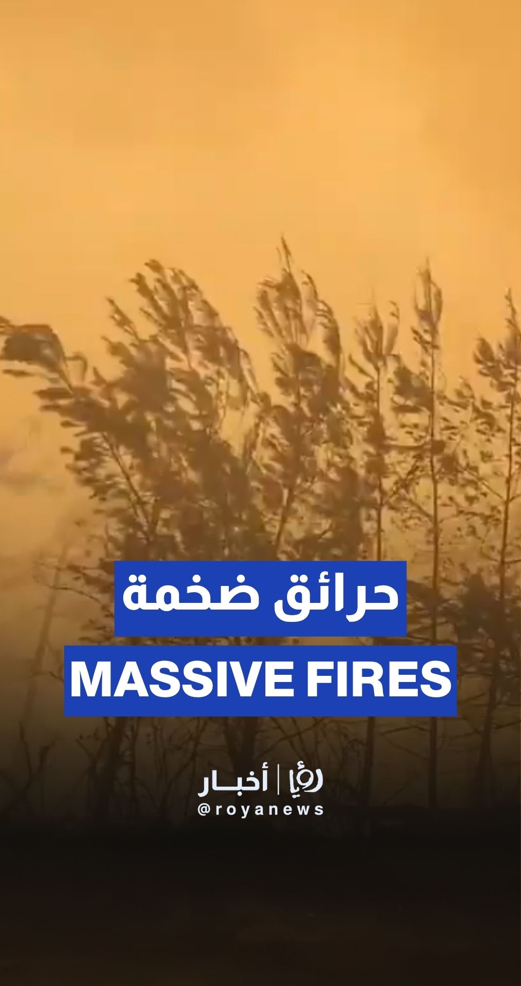 Footage of fires in Latakia countryside