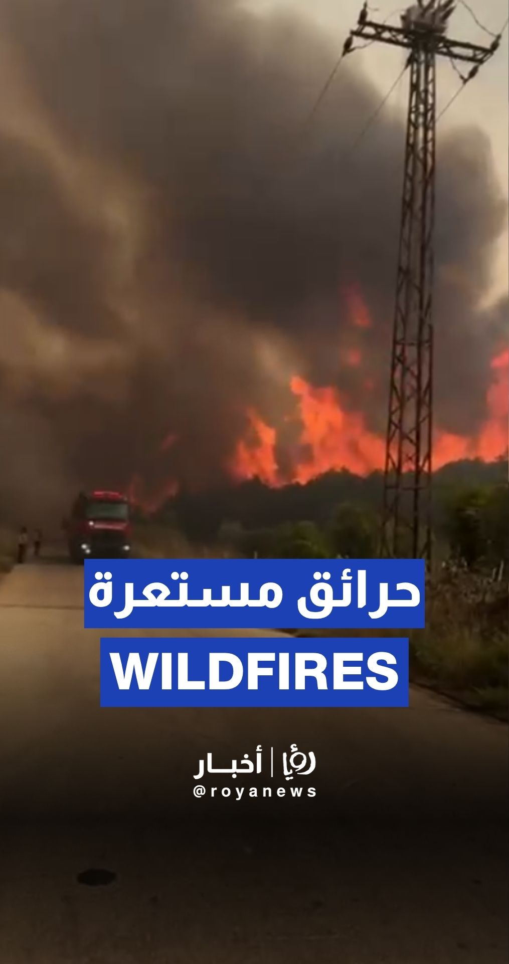 Footage of wildfires sweeping Syria’s coast