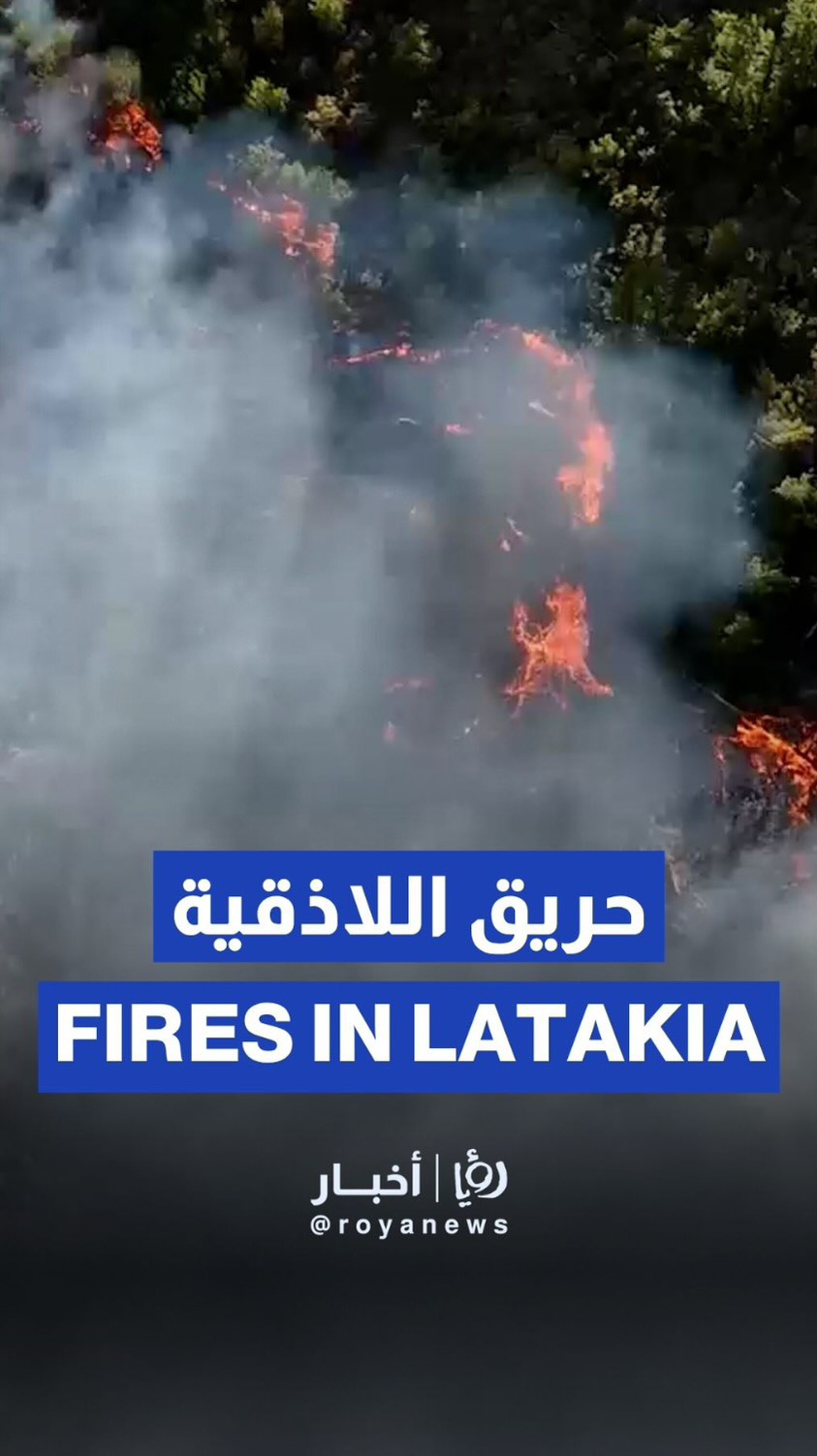 Aerial footage shows wildfires raging in Latakia countryside