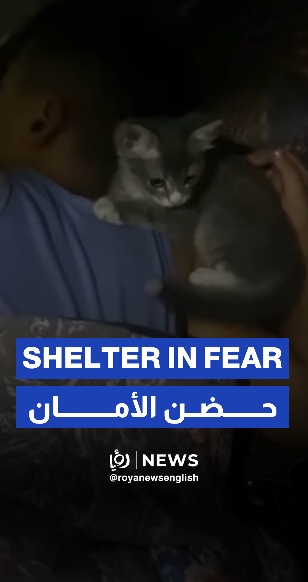 Scared kitten clings to owner as ‘Israeli’ drones buzz overhead