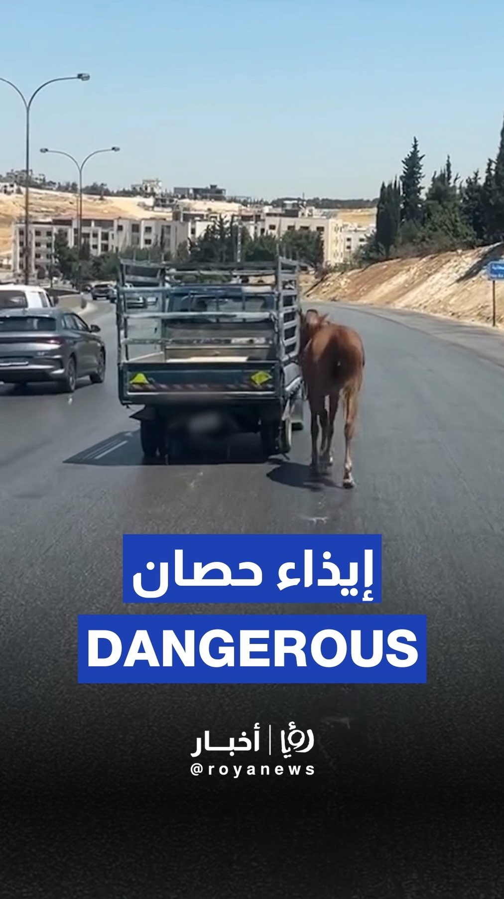 Man drags horse with vehicle on highway, sparks outrage online