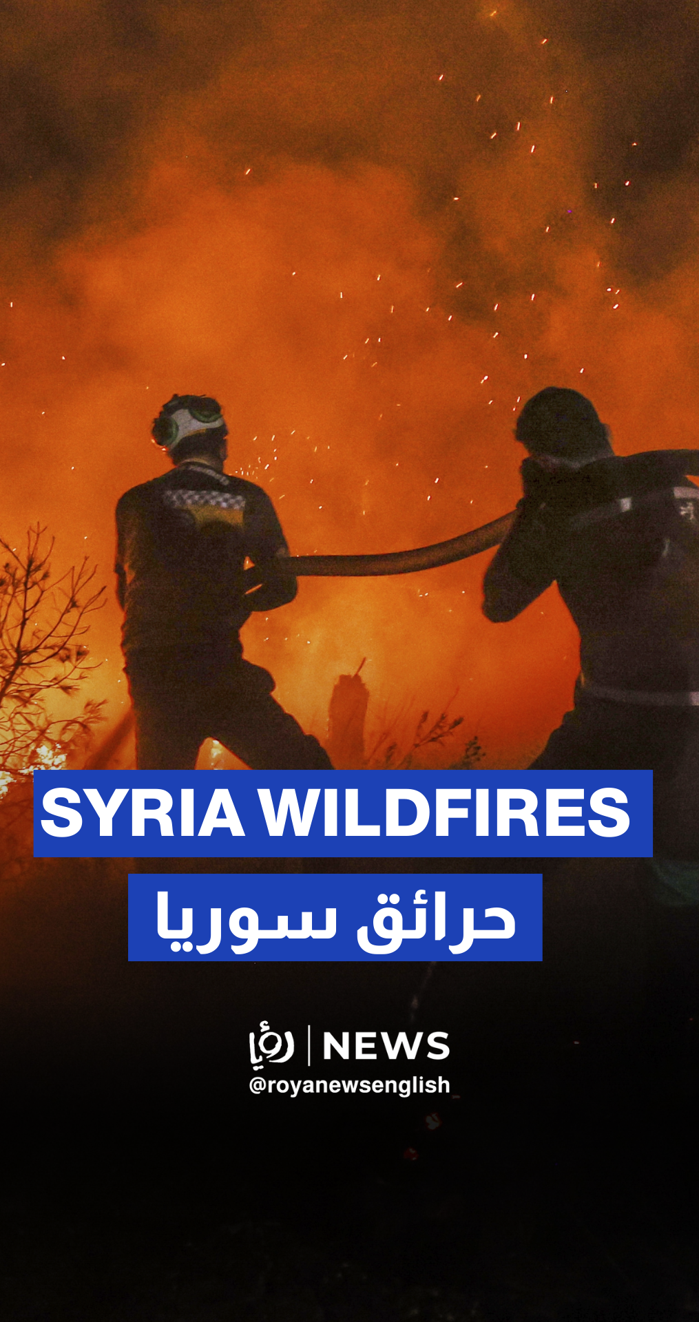 Latakia wildfires rage for sixth day amid global aid