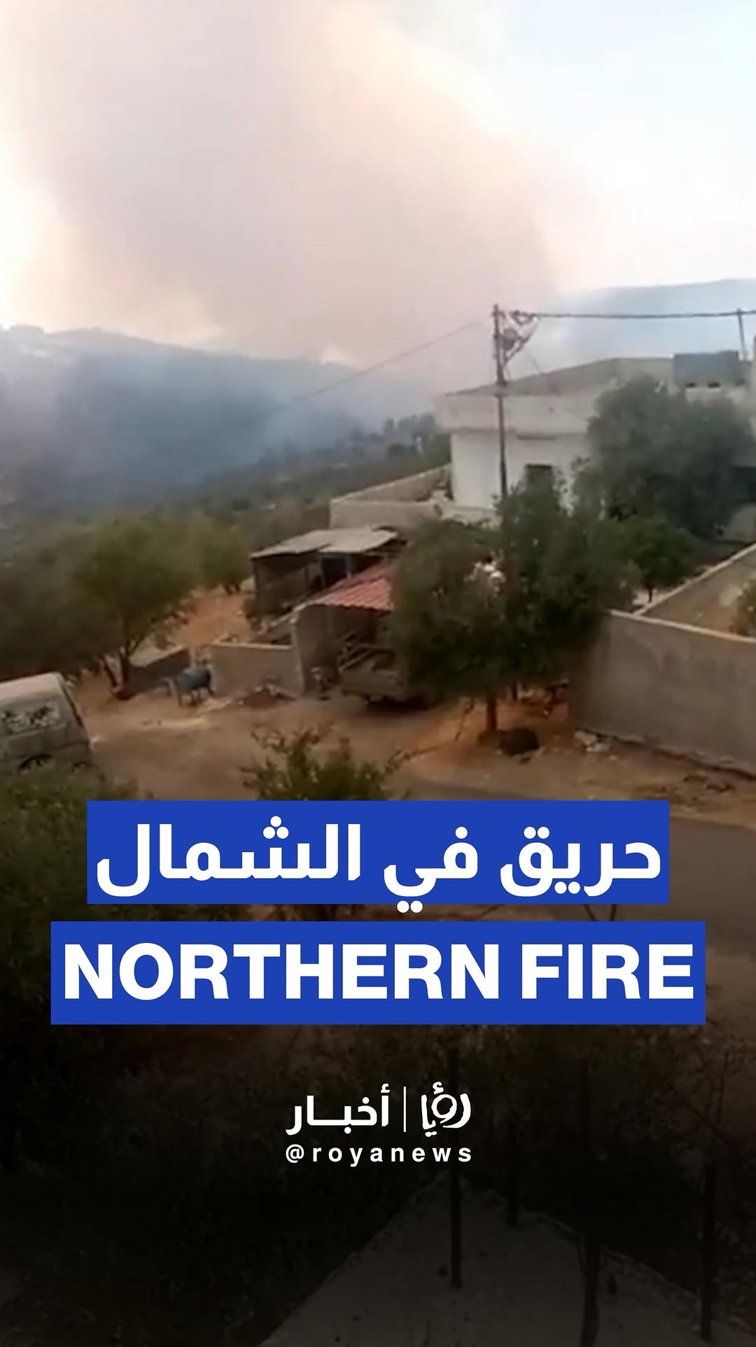 Massive wildfire devastates forests in Jordan’s Ajloun and Jerash