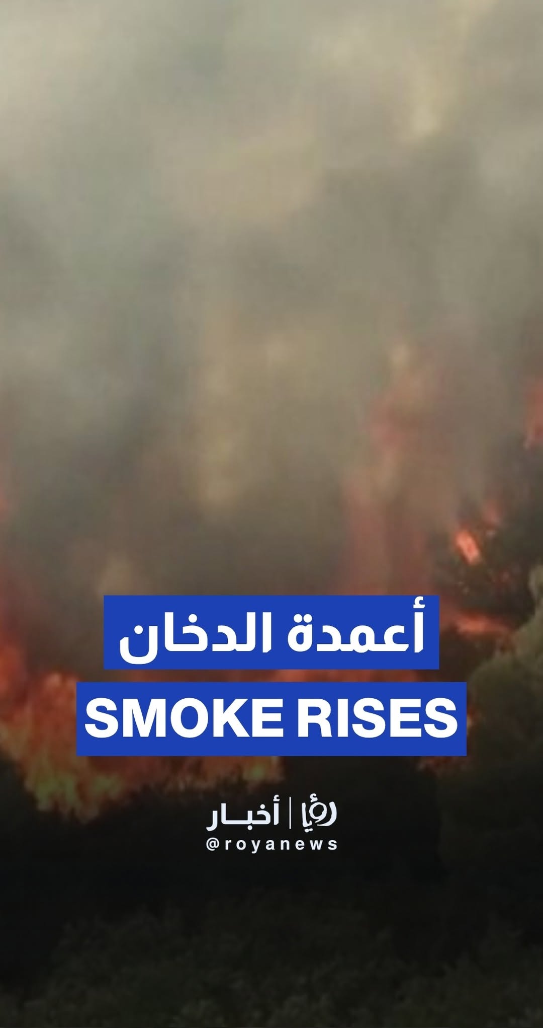 Smoke rises from forest fires in Spain