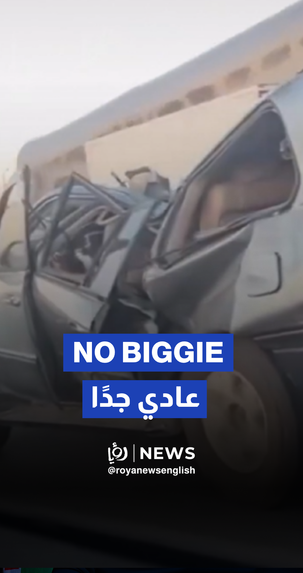 Driver casually drives off after tree crushes car in bizarre footage