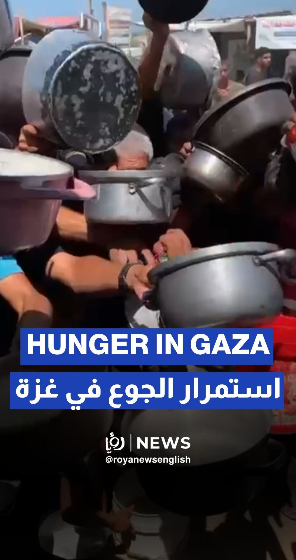 Families in Gaza scramble for food under “Israeli” blockade