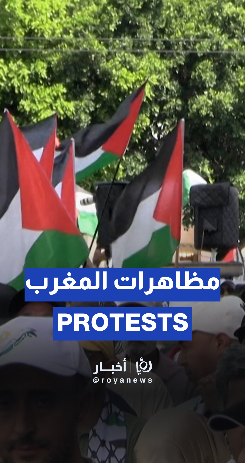 Thousands of Moroccans demonstrate in support of Gaza
