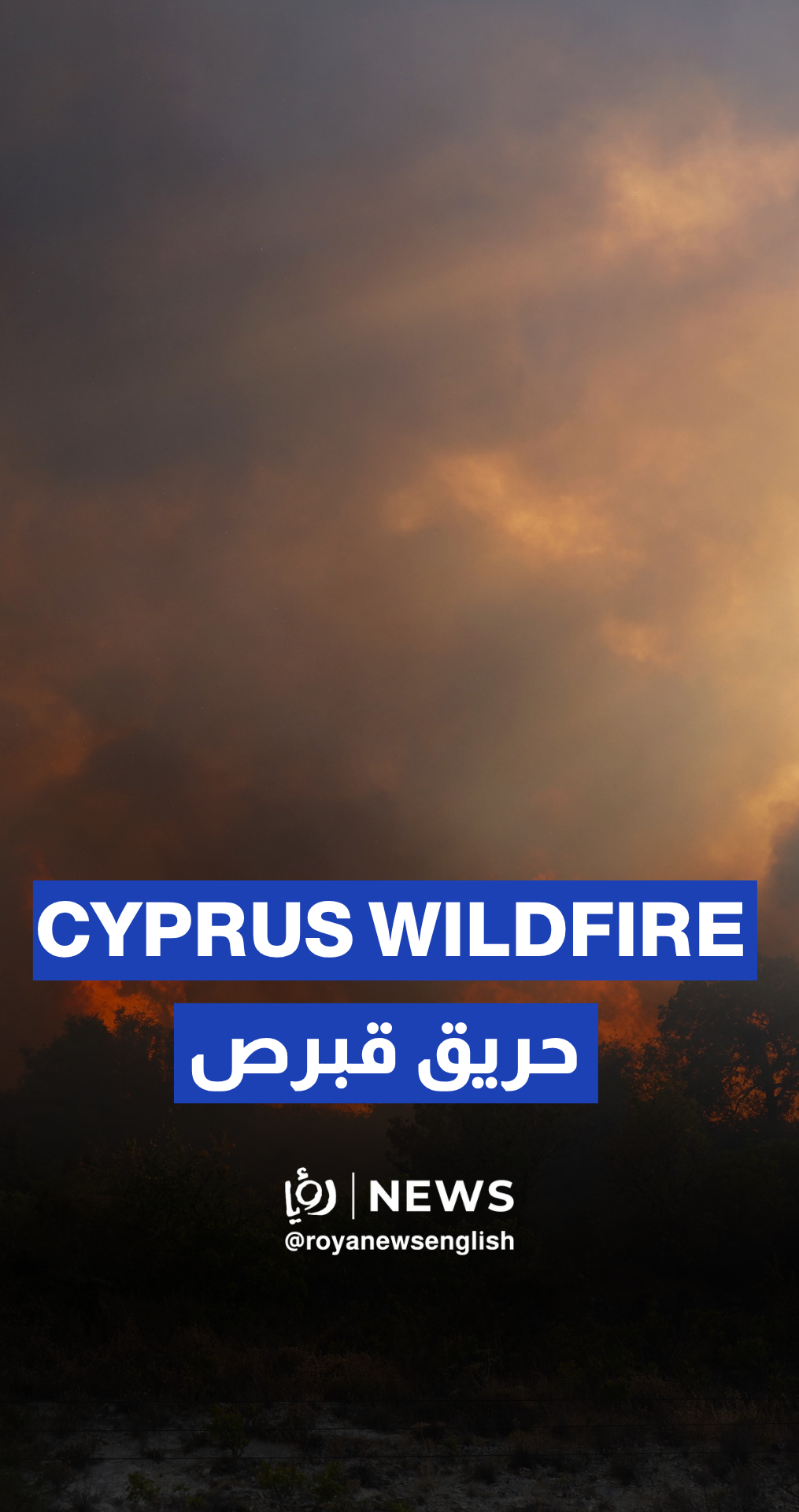 Cyprus battles raging wildfire as heat and winds fuel destruction