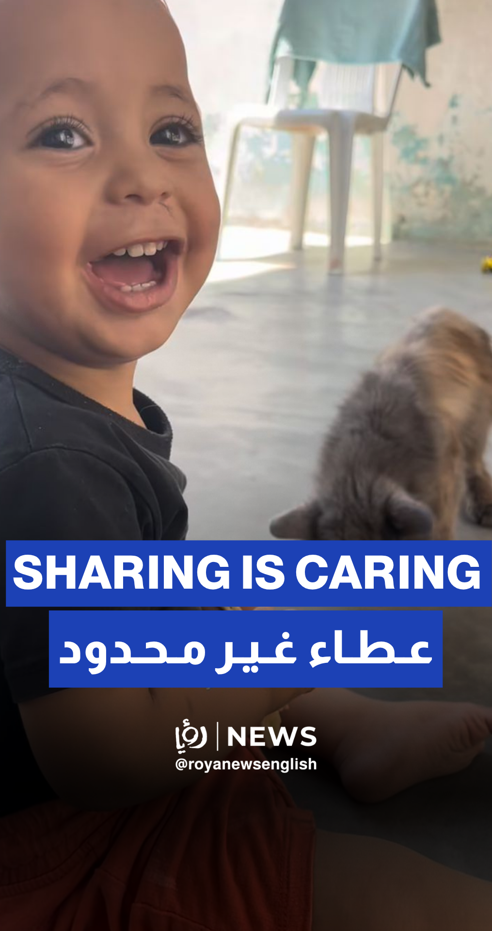 Gazan baby shares bread with his cat amid severe hunger