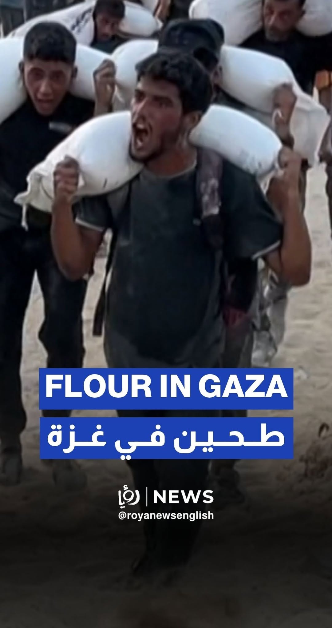 Palestinians carry bags of flour in northern Gaza Strip