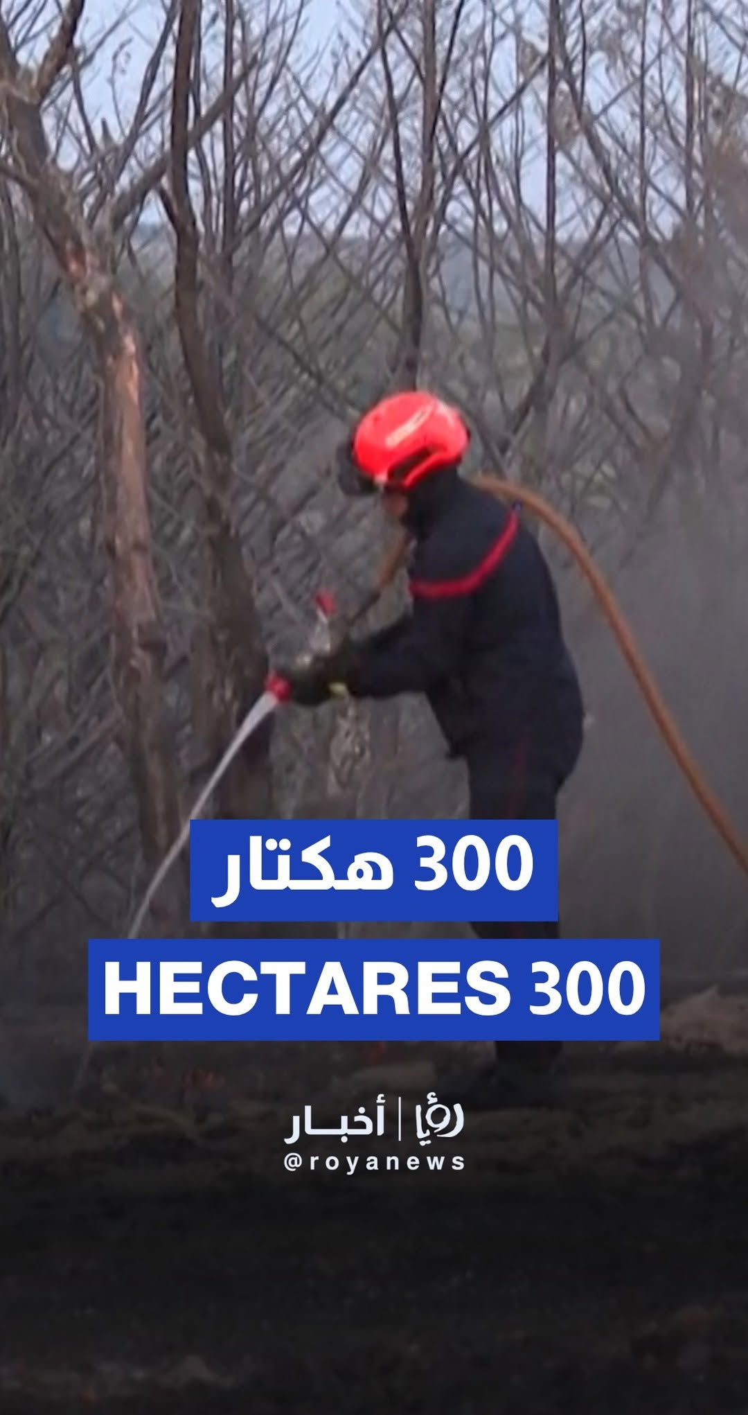 Fire stopped in Hérault, France after spanning more than 300 hectares